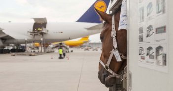 Lufthansa-cargo-heste_web.jpg